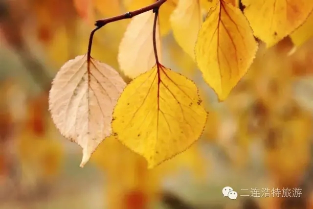 640.webp