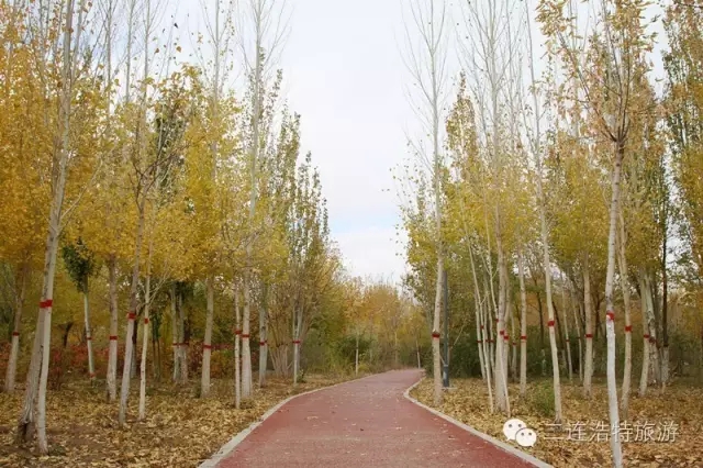 640.webp